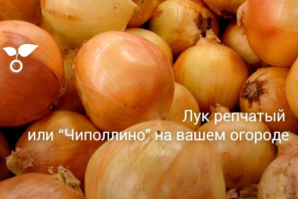 Бошки жижа купить