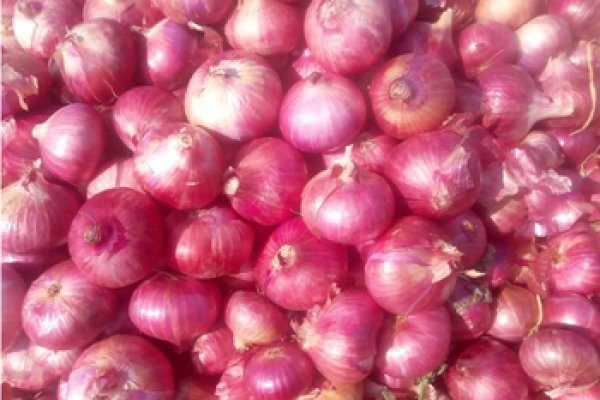 Кракен ссылка onion