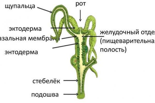 Купить гашиш в интернете